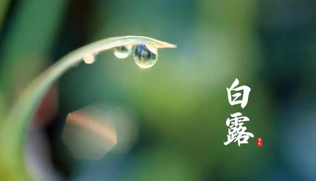 白露時(shí)節(jié)，洛陽(yáng)養(yǎng)老院老年人應(yīng)該注意什么